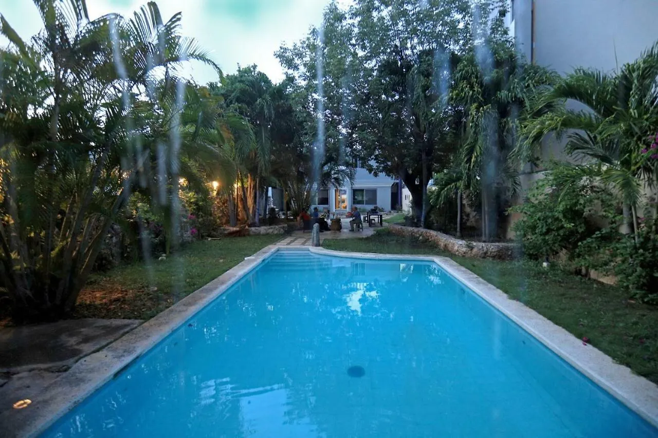 Indigo Cancun Hostel