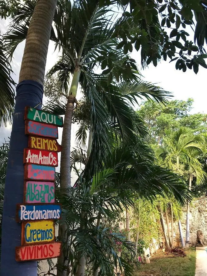 Indigo Cancun Hostel