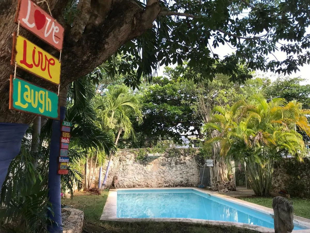 Indigo Cancun Hostel contacts